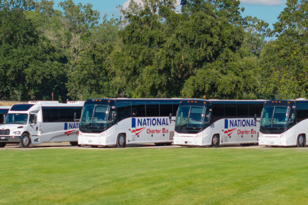 a fleet of charter buses with the "national charter bus" logos on them