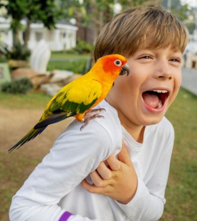 A child smiling with a parrot sitting on his shoulder