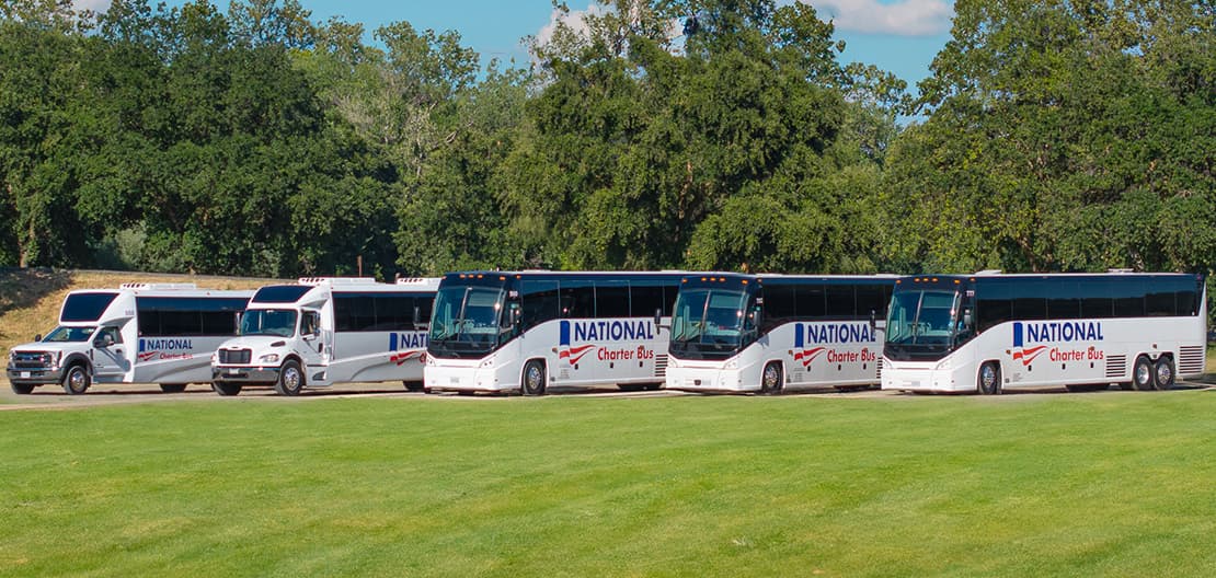 Lineup of various bus rental options