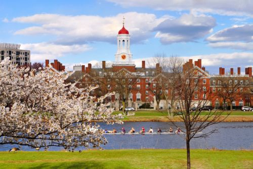 harvard university in the spring with crew rowers on the river