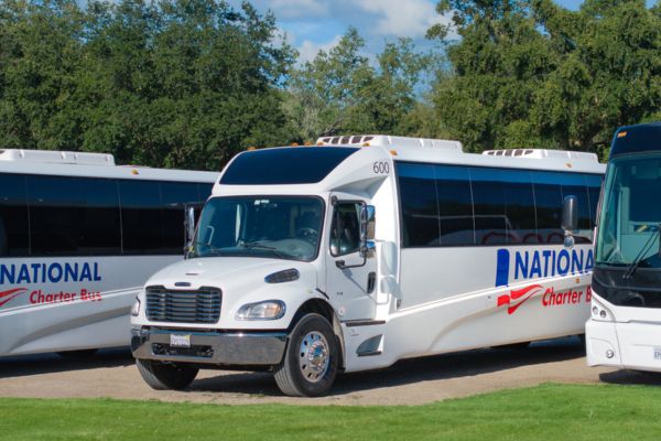 three small buses of varying sizes, parked in front of trees