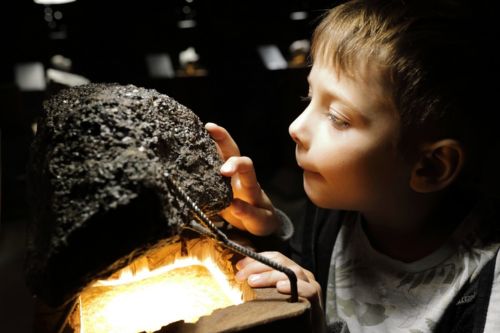 A child examining a science exhibit